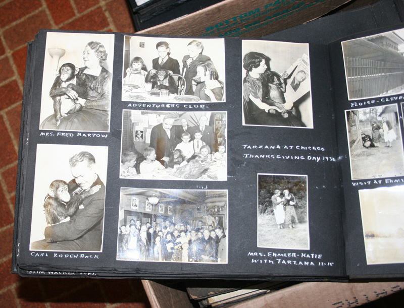 photo album images/mgmpix